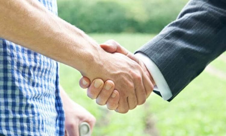 Blanc Serviços Domésticos