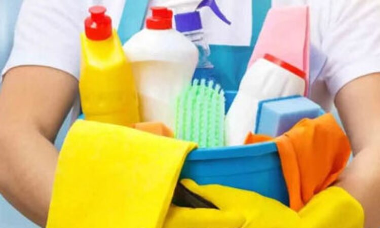 Blanc Serviços Domésticos